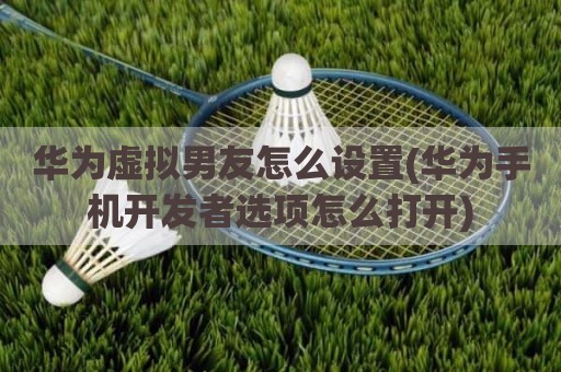 华为虚拟男友怎么设置(华为手机开发者选项怎么打开)