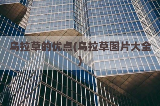 乌拉草的优点(乌拉草图片大全)