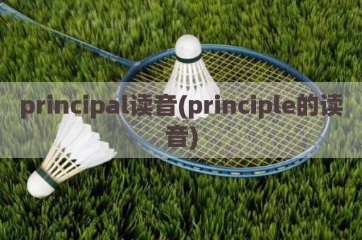 principal读音(principle的读音)