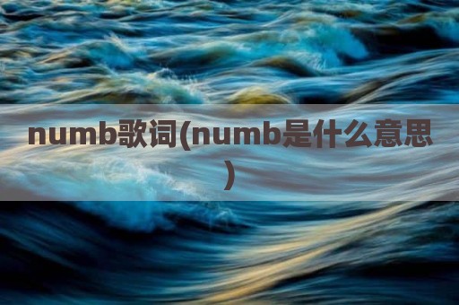 numb歌词(numb是什么意思)