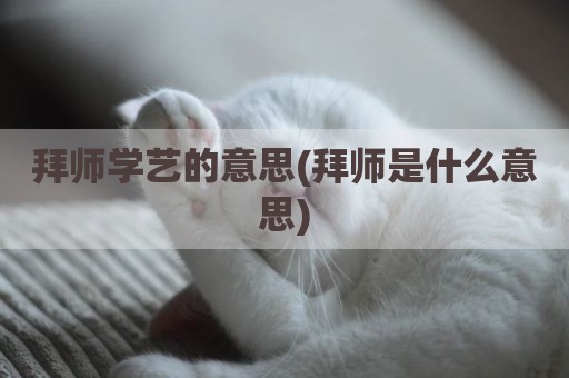拜师学艺的意思(拜师是什么意思)