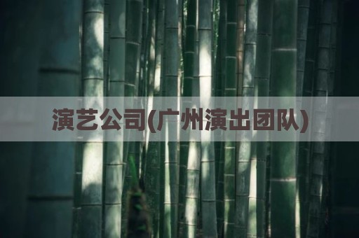 演艺公司(广州演出团队)