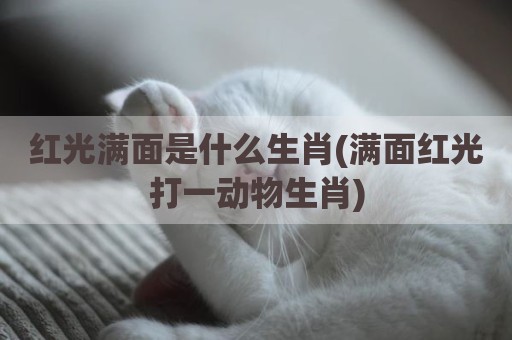 红光满面是什么生肖(满面红光打一动物生肖)