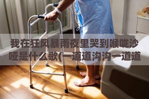 我在狂风暴雨夜里哭到喉咙沙哑是什么歌(一道道沟沟一道道梁是什么歌名)