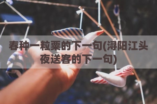 春种一粒粟的下一句(浔阳江头夜送客的下一句)