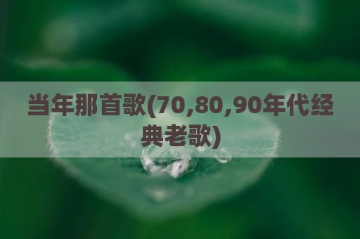 当年那首歌(70,80,90年代经典老歌)