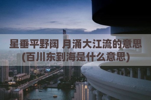 星垂平野阔 月涌大江流的意思(百川东到海是什么意思)