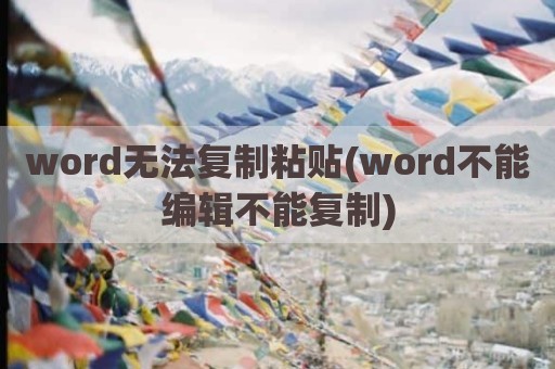 word无法复制粘贴(word不能编辑不能复制)