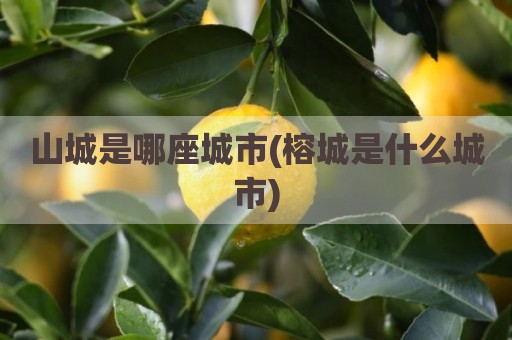 山城是哪座城市(榕城是什么城市)