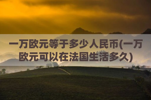 一万欧元等于多少人民币(一万欧元可以在法国生活多久)