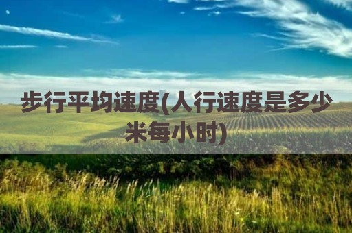 步行平均速度(人行速度是多少米每小时)