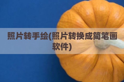 照片转手绘(照片转换成简笔画软件)