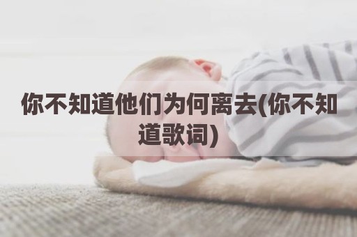 你不知道他们为何离去(你不知道歌词)