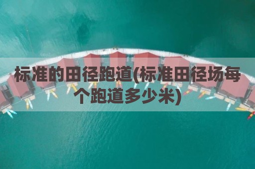 标准的田径跑道(标准田径场每个跑道多少米)