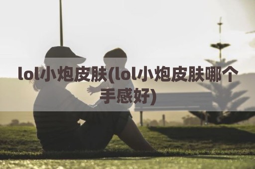lol小炮皮肤(lol小炮皮肤哪个手感好)