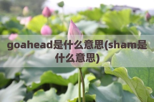 goahead是什么意思(sham是什么意思)