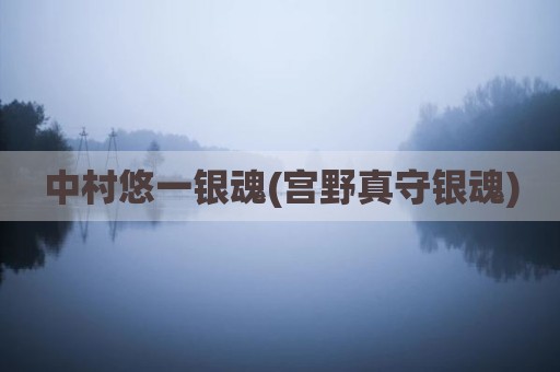 中村悠一银魂(宫野真守银魂)
