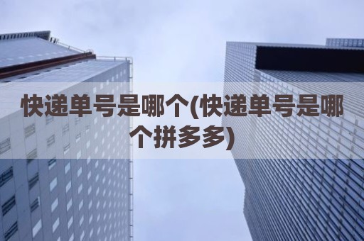 快递单号是哪个(快递单号是哪个拼多多)