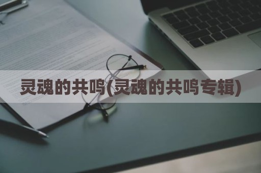 灵魂的共鸣(灵魂的共鸣专辑)
