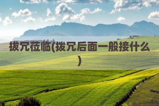 拔冗莅临(拨冗后面一般接什么)