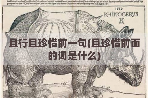 且行且珍惜前一句(且珍惜前面的词是什么)