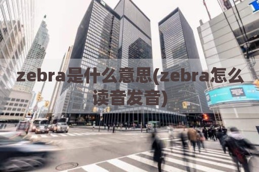 zebra是什么意思(zebra怎么读音发音)
