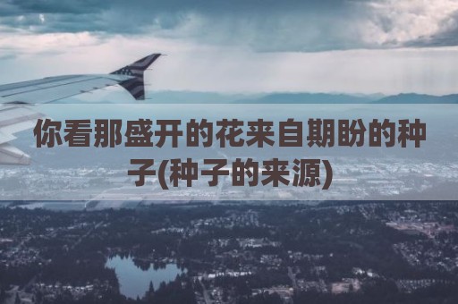 你看那盛开的花来自期盼的种子(种子的来源)