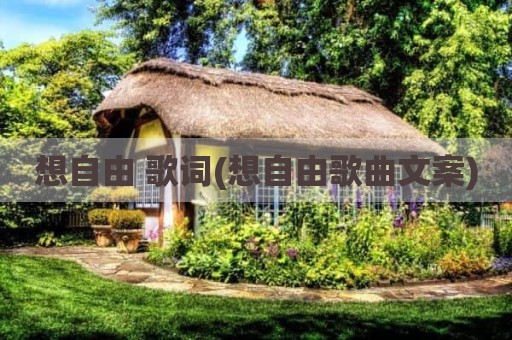 想自由 歌词(想自由歌曲文案)