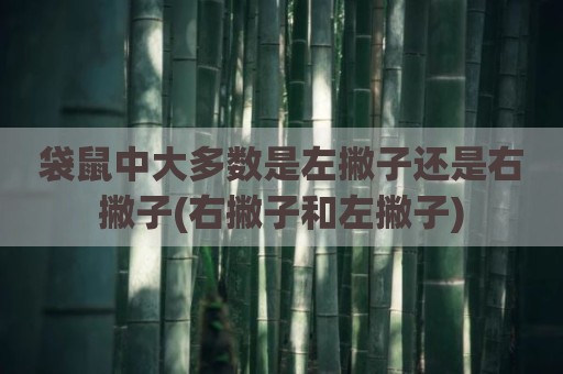 袋鼠中大多数是左撇子还是右撇子(右撇子和左撇子)