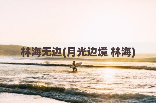 林海无边(月光边境 林海)