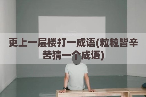 更上一层楼打一成语(粒粒皆辛苦猜一个成语)