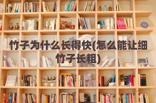 竹子为什么长得快(怎么能让细竹子长粗)