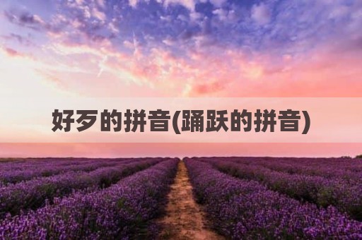 好歹的拼音(踊跃的拼音)