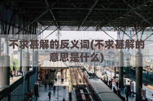 不求甚解的反义词(不求甚解的意思是什么)