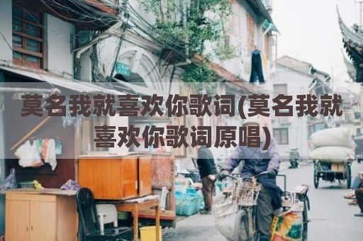 莫名我就喜欢你歌词(莫名我就喜欢你歌词原唱)