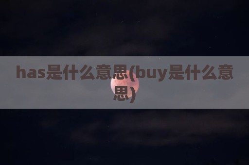 has是什么意思(buy是什么意思)
