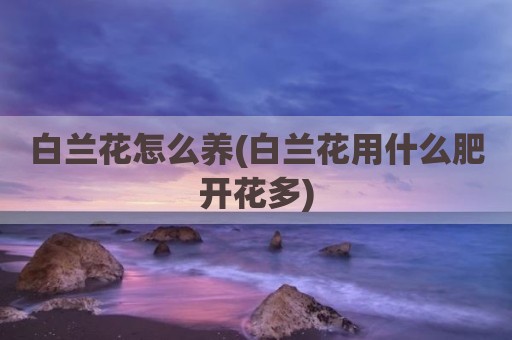 白兰花怎么养(白兰花用什么肥开花多)