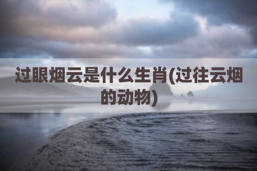 过眼烟云是什么生肖(过往云烟的动物)