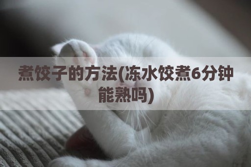煮饺子的方法(冻水饺煮6分钟能熟吗)