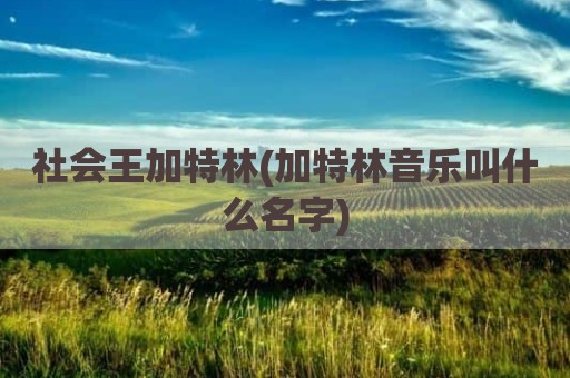 社会王加特林(加特林音乐叫什么名字)