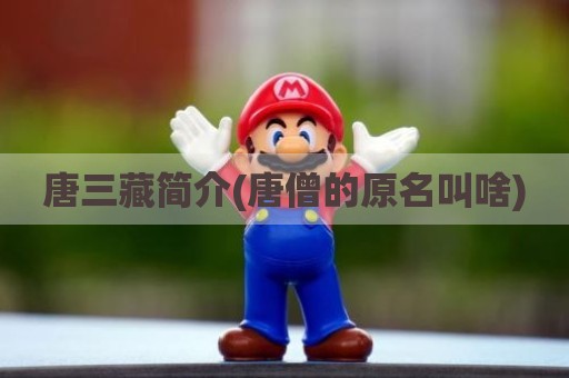 唐三藏简介(唐僧的原名叫啥)