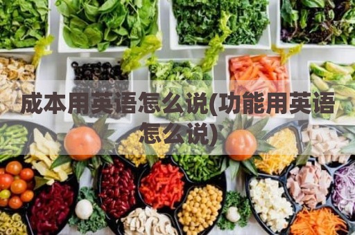 成本用英语怎么说(功能用英语怎么说)