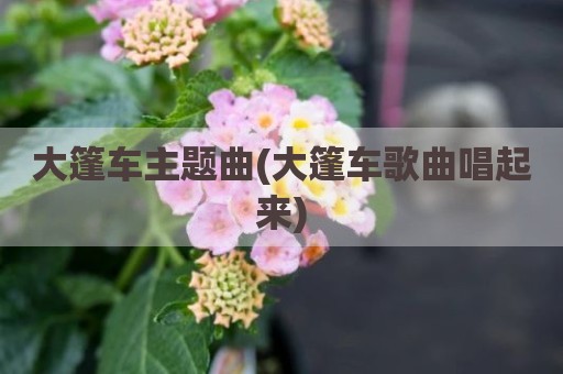 大篷车主题曲(大篷车歌曲唱起来)