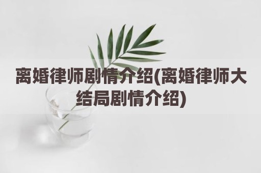 离婚律师剧情介绍(离婚律师大结局剧情介绍)