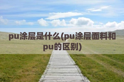 pu涂层是什么(pu涂层面料和pu的区别)