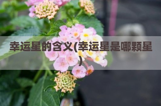 幸运星的含义(幸运星是哪颗星)