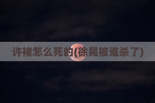 许褚怎么死的(徐晃被谁杀了)