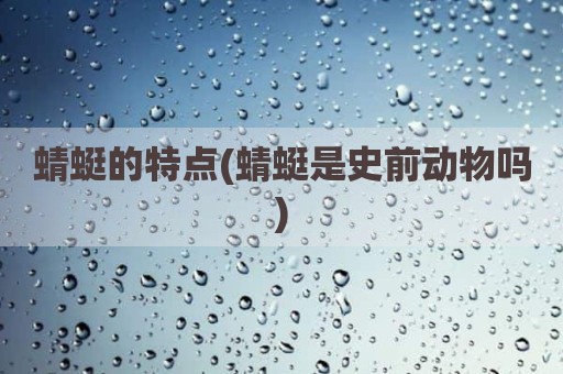 蜻蜓的特点(蜻蜓是史前动物吗)