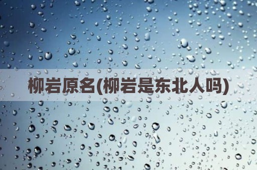 柳岩原名(柳岩是东北人吗)