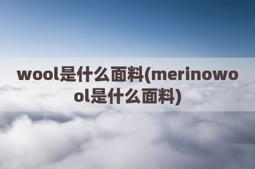 wool是什么面料(merinowool是什么面料)